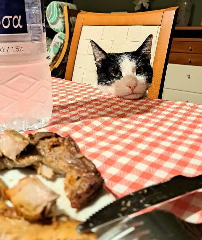 We Didn't Let Him Eat A Steak