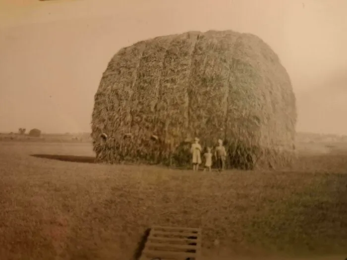 Three children standing beside a massive haystack in a rural field, a rare candid glimpse into the past.