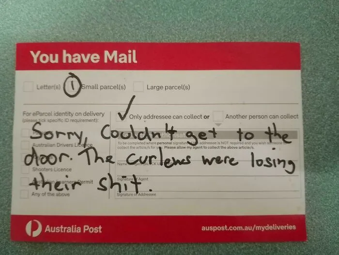 Delivery Attempted