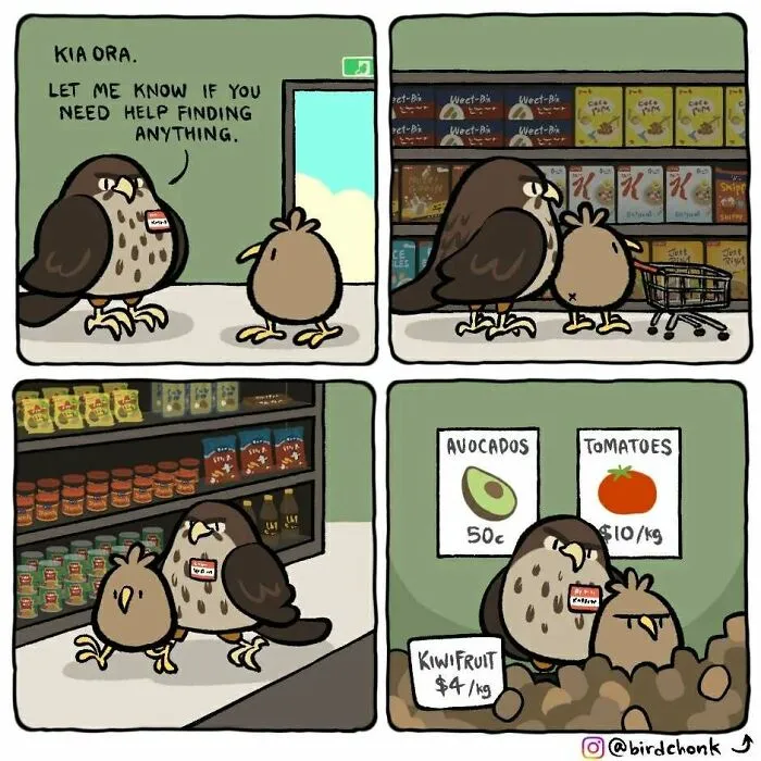 Hilariously Relatable Comics Featuring Birds With Reversed Roles, By Birdchonk (37 Pics)