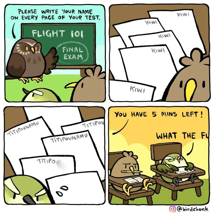 Hilariously Relatable Comics Featuring Birds With Reversed Roles, By Birdchonk (37 Pics)
