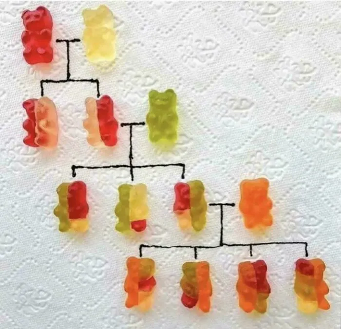 Friend: "You Can't Make Genetics Easy To Understand In Just One Image". Me: