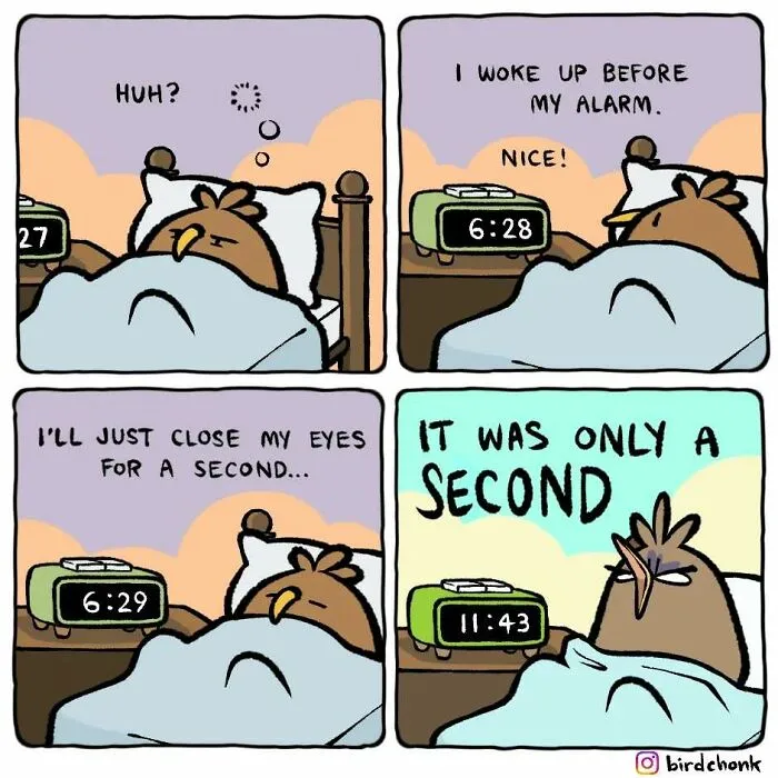 Hilariously Relatable Comics Featuring Birds With Reversed Roles, By Birdchonk (37 Pics)