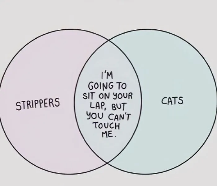 Venn Diagram Of Strippers/Cats