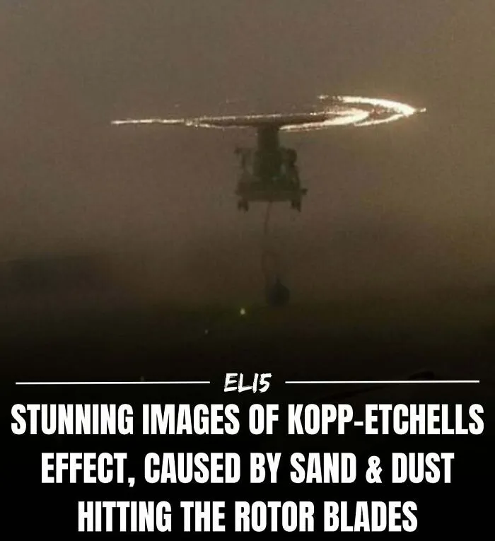 43 Weird Facts Explained In The Simplest Possible Way, Courtesy Of This IG Page 