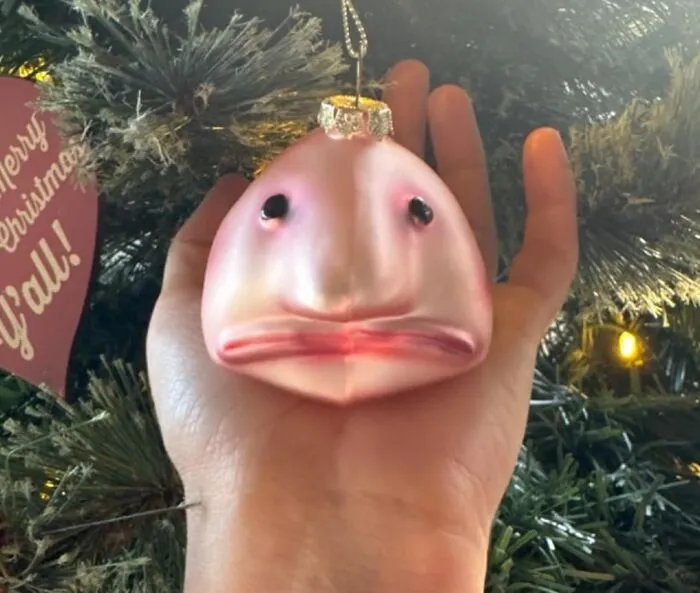 The <a Style="Display:inline;" Href="Https://Www.amazon.com/Archie-Mcphee-Blobfish-Christmas-Ornament/Dp/B08g1vhrg9?ie=utf8&linkcode=ll1&tag=bpiguana-20&linkid=5616da492b651e85bcf2a1dc90a1d45b&language=en_us&ref_=as_li_ss_tl" Target="_blank"><span Style="Font: Inherit; Color: #d74b1f;"> Blobfish Christmas Ornament </Span> Brings An Adorably Awkward Vibe To Your Tree, Because Even The Underwater Creatures Deserve A Little Holiday Cheer. Now With 100% More Existential Dread