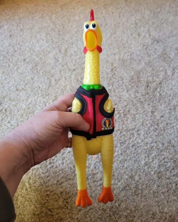 This  <a Style="Display:inline;" Href="Https://Www.amazon.com/Archie-Mcphee-Novelty-Emotional-Support/Dp/B09112ssjm?ie=utf8&linkcode=ll1&tag=bpiguana-20&linkid=dc24332e223d5219c5f5abfe33c27441&language=en_us&ref_=as_li_ss_tl" Target="_blank"><span Style="Font: Inherit; Color: #d74b1f;"> Emotional Support Rubber Chicken </Span> Is Here To Cluck Away Your Stress, Because Sometimes You Just Need A Feathered Friend Who Won’t Judge Your Life Choices