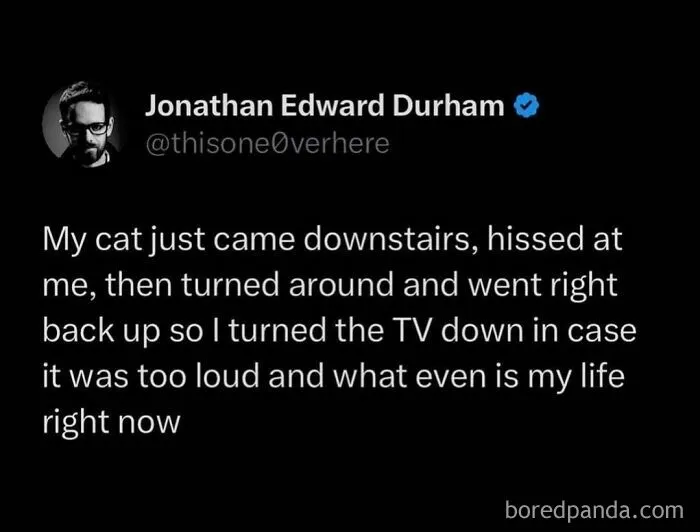 50 Funny Cat Memes To Brighten Up Your Day If The World Feels Like A Cat-astrophe Right Now (New Pics)