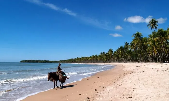 Trash Collector, Brazil, Boipeba, Bahia, 2008