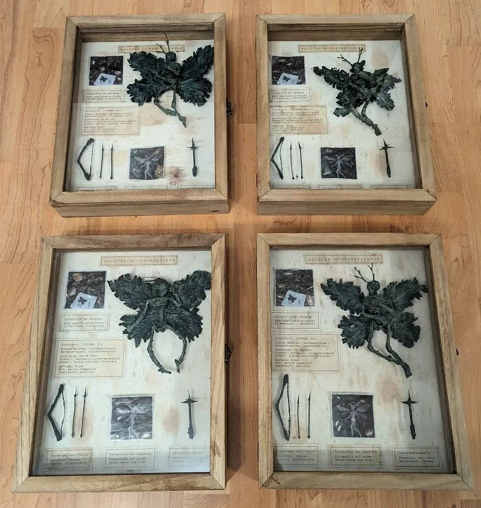 Mummified Woodland Fairies, Grave Goods And Photos