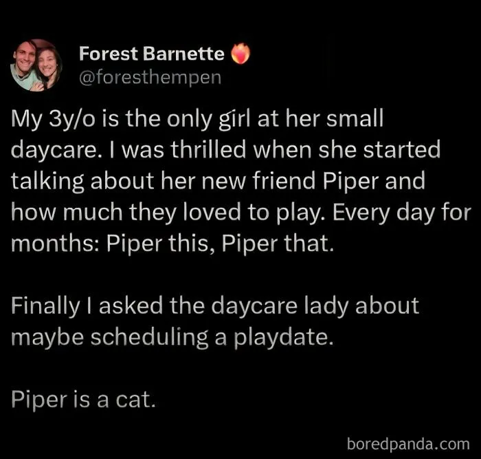 50 Funny Cat Memes To Brighten Up Your Day If The World Feels Like A Cat-astrophe Right Now (New Pics)