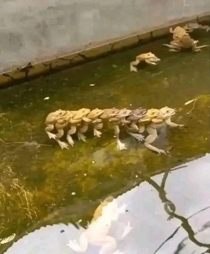 Hmmm