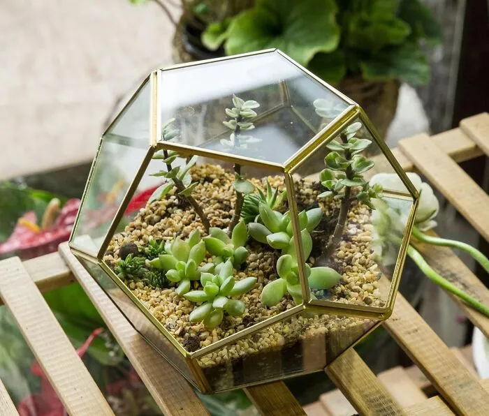 Green Thumbs Got Glam, So Show Off Those Plants In The Most Extra, Geometric Way Possible With A <a Style="Display:inline;" Href="Https://Www.amazon.com/Dp/B01nbcovnm?ascsubtag=5278581%2c21%2c24%2cd%2c0%2c0%2c0%2c901%3a2&974%3a3%2c0%2c0%2c0%2cgoogle=undefined&th=1&linkcode=ll1&tag=bpdodo-20&linkid=901df552e837268cac2655258e968f82&language=en_us&ref_=as_li_ss_tl" Target="_blank"><span Style="Font: Inherit; Color: #d74b1f;"> Geometric Glass Terrarium</Span>