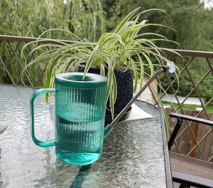 Basic Pitchers Are Canceled; Give Your Indoor Jungle A Stylish Stream From This <a Style="Display:inline;" Href="Https://Www.amazon.com/Small-Watering-Indoor-Plants-Spout/Dp/B08g5dgvl3?ie=utf8&th=1&linkcode=ll1&tag=bpdodo-20&linkid=3c0ff9811e9298bb31c8fad3a7e01ff2&language=en_us&ref_=as_li_ss_tl" Target="_blank"><span Style="Font: Inherit; Color: #d74b1f;"> Cool Watering Jug With A Long Spout</Span>, Watering Is An Art Form, Dahling
