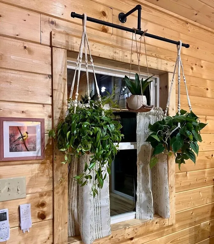 Take Your Plant Collection To New Heights, This <a Style="Display:inline;" Href="Https://Www.amazon.com/Bamworld-Hanging-Planters-Shelves-Included/Dp/B0crtv9kds?ie=utf8&th=1&linkcode=ll1&tag=bpdodo-20&linkid=543e400daf9866e72f02c4a495e48b60&language=en_us&ref_=as_li_ss_tl" Target="_blank"><span Style="Font: Inherit; Color: #d74b1f;"> Indoor Plant Hanger Rod</Span> Is The Key To Achieving Your #junglehome Goals, Letting Those Trailing Vines Get Their Moment In The Sunlight