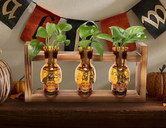 Cloning Your Plant Babies Just Got A Whole Lot Cooler Because Now You Can Show Off Your Green-Thumb Skills With This Trendy <a Style="Display:inline;" Href="Https://Www.amazon.com/Yyhglass-Terrarium-Propagation-Hydroponics-Halloween/Dp/B0dfcvpfvx?crid=1g64g8qlrd1k3&dib=eyj2ijoimsj9.bpyb9vznledcds4un2qarmivbyliv9i8ul_ayderlbhtxkwh2cphysgxjxutvbcxk6aznzfzbb2y4-5o45lq83ialfvji0pfilh9e-Kqu7gwm4ox8et6nv9rmbzhhd22kfemshbfgxjy8j1iy-Stm5hu6gpuhpnjsvlzzwmggnzjtqetj3w8bxoqlz-5r1uk-Wnt3np74kugyuwklfbznfvjswzrqzbpfcyrn4c9cuyzfg2kbctgauiffn7tqf29zcikv7ujmmg4qor8dxhxvtz-Kj6lnejpr1i8exgxa4s.kl4dpsvehn99jaxjhoi1ncvorlsxlvvoskn-Q033s0o&dib_tag=se&keywords=cool%2bplanting%2bvases&qid=1740058038&sprefix=cool%2bplanting%2bvase%2caps%2c170&sr=8-12-Spons&sp_csd=d2lkz2v0tmftzt1zcf9tdgy&th=1&linkcode=ll1&tag=bpdodo-20&linkid=bfb40de9de9fe00f305a93777d608a7e&language=en_us&ref_=as_li_ss_tl" Target="_blank"><span Style="Font: Inherit; Color: #d74b1f;"> Terrarium Propagation Station</Span>