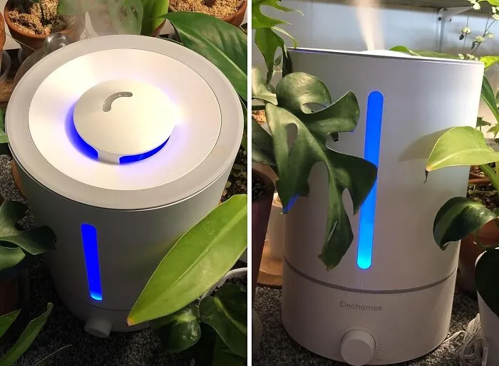 Dry Air Is *so* Last Season, Treat Your Plants (And Yourself) Right With The <a Style="Display:inline;" Href="Https://Www.amazon.com/Govee-Humidifiers-Bedroom-Essential-Humidifier/Dp/B098pbqp1k?pd_rd_w=gg3p7&content-ID=amzn1.sym.42aa4ac9-41cf-40f2-844a-256751b93dbf&pf_rd_p=42aa4ac9-41cf-40f2-844a-256751b93dbf&pf_rd_r=hh72cpv0z18gwx2ez66q&pd_rd_wg=7v26b&pd_rd_r=fa53b988-2497-41bb-Bd28-83f9fc11c613&pd_rd_i=b098pbqp1k&psc=1&linkcode=ll1&tag=bpdodo-20&linkid=807e211defaa57c22d85af07fae54e3c&language=en_us&ref_=as_li_ss_tl" Target="_blank"><span Style="Font: Inherit; Color: #d74b1f;"> Smart Humidifier</Span>, You're Welcome For The Dewy Glow-Up