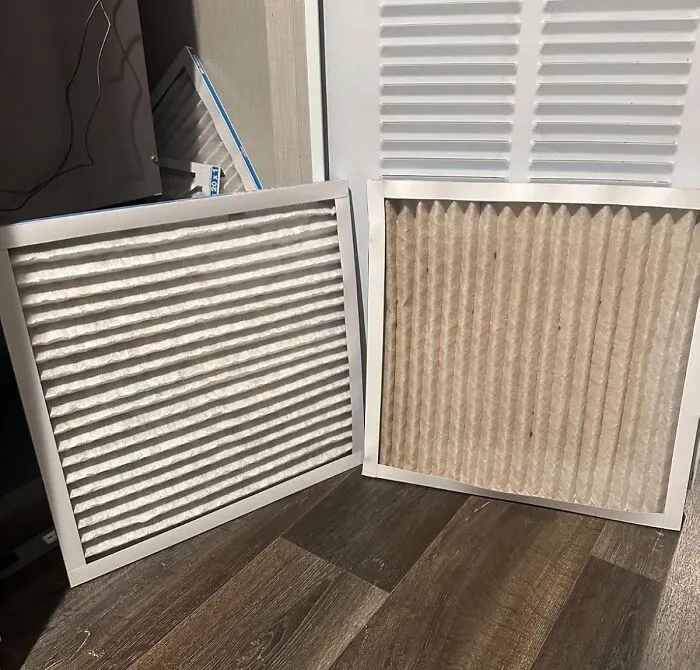 Your Air Filter Is Holding Onto Dust Like It’s A Retirement Fund, But It’s Time To <a Style="Display:inline;" Href="Https://Www.amazon.com/Aerostar-16x25x1-Merv-Pleated-Filter/Dp/B01cswppqq?ie=utf8&th=1&linkcode=ll1&tag=bpwombat-20&linkid=b92ff3b0ceb75905cf42032f1bcb0544&language=en_us&ref_=as_li_ss_tl" Target="_blank"><span Style="Font: Inherit; Color: #d74b1f;"> Replace Your Air Filter </Span> And Give Your Lungs A Break