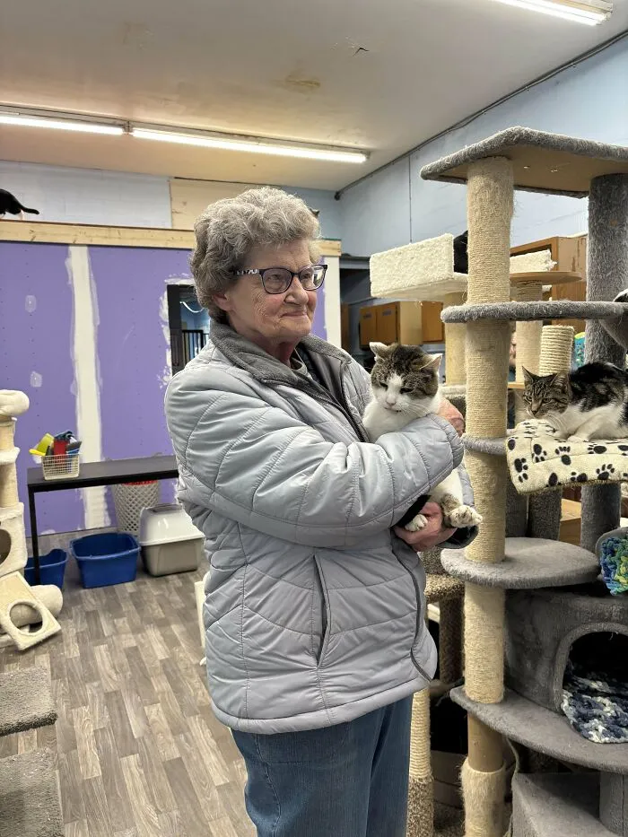 Awesome Adoption