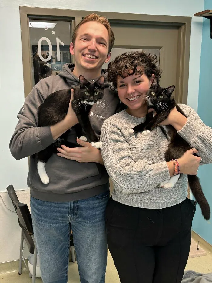 Happy couple holding newly adopted shelter cats, smiling in a cozy setting.