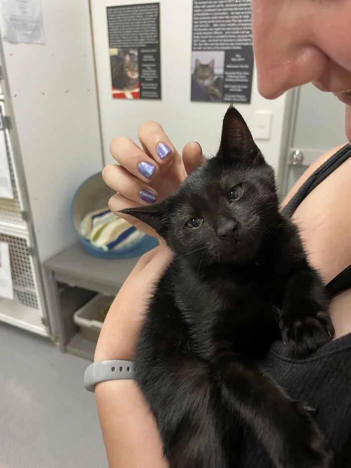My Friend Just Adopted This Lil Void Today
