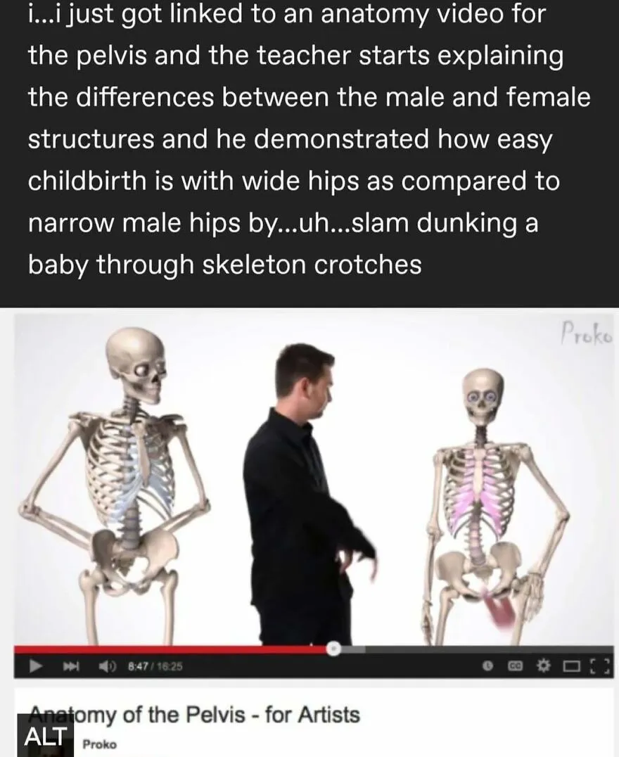 Funny Puncrastination meme about anatomy video, featuring a person with two skeletons, explaining pelvic differences humorously.
