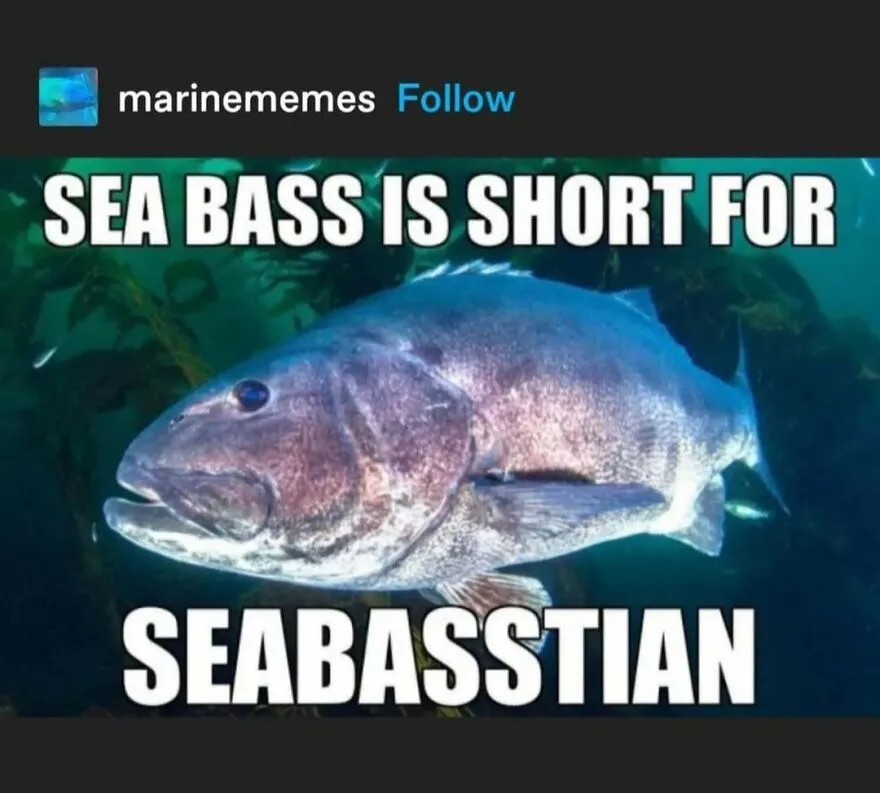 47 Tweets And Jokes Created For Your Chuckles