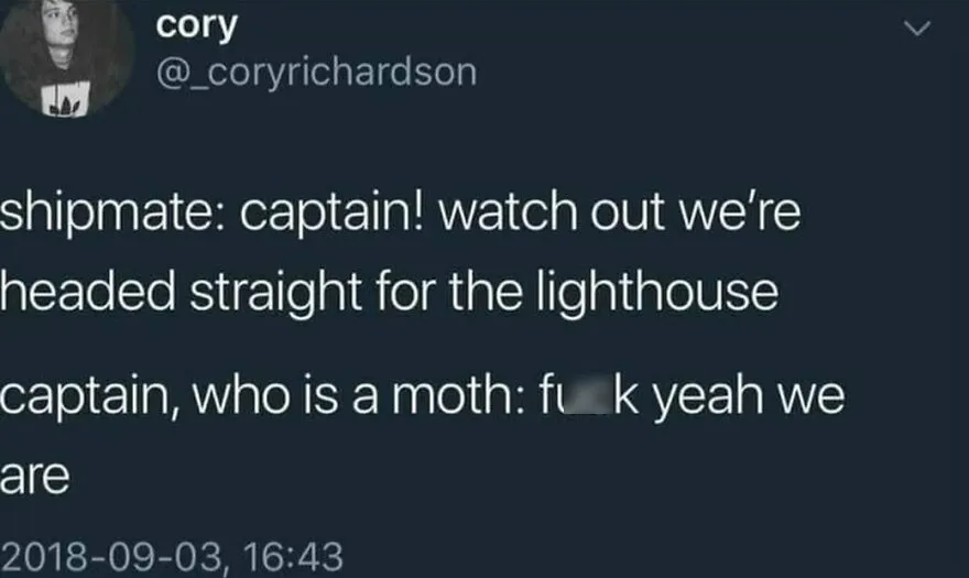 Funny puncrastination meme with a moth captain, humorously heading toward a lighthouse.