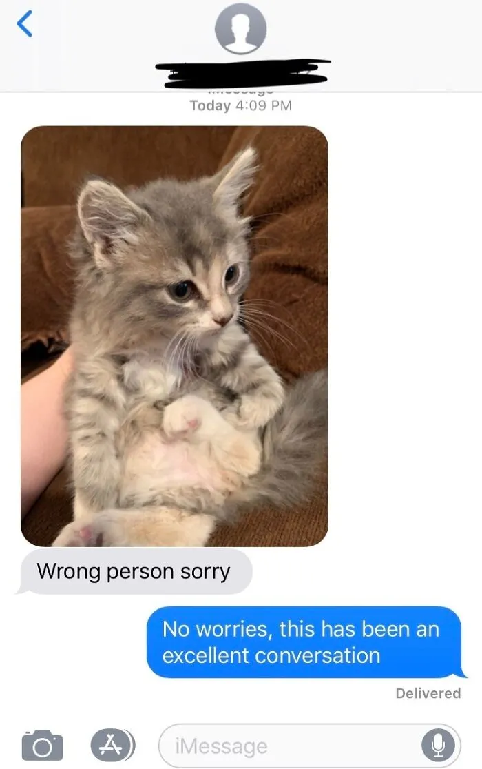 Excellent Conversation