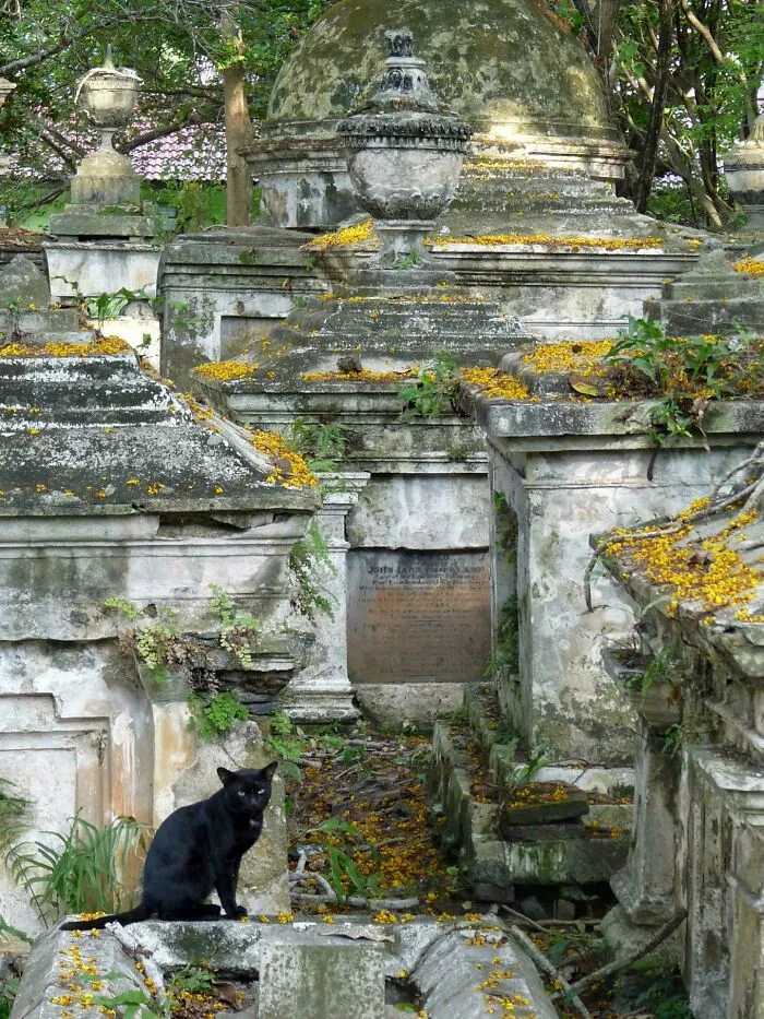 Protestant Cemetery, George Town, Penang, Malaysia