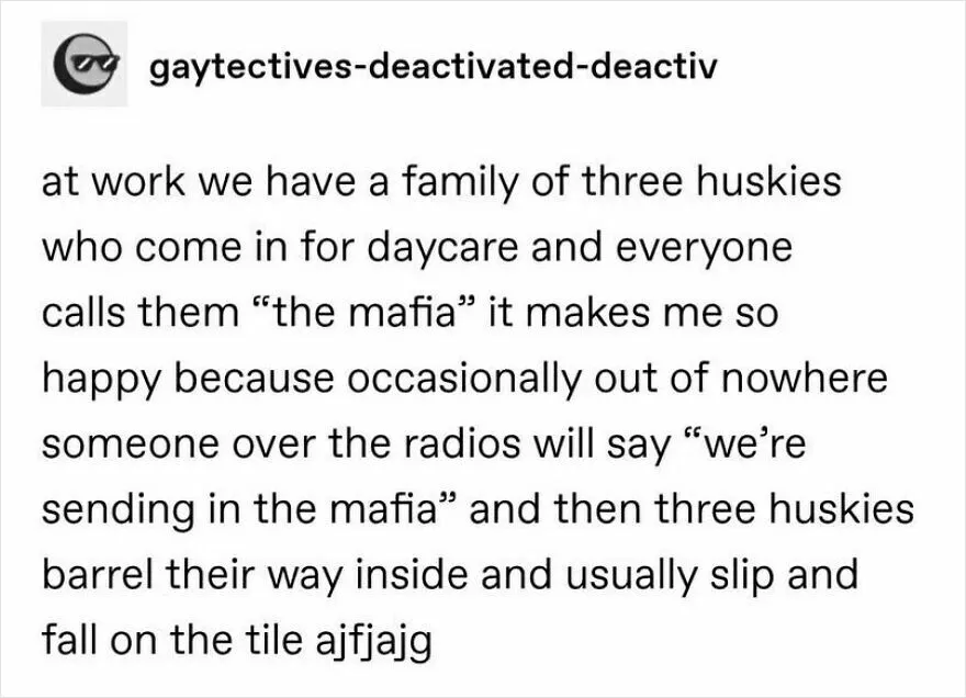 47 Tweets And Jokes Created For Your Chuckles
