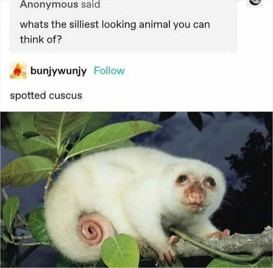 47 Tweets And Jokes Created For Your Chuckles