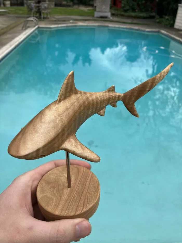 I Carved A Tiger Shark