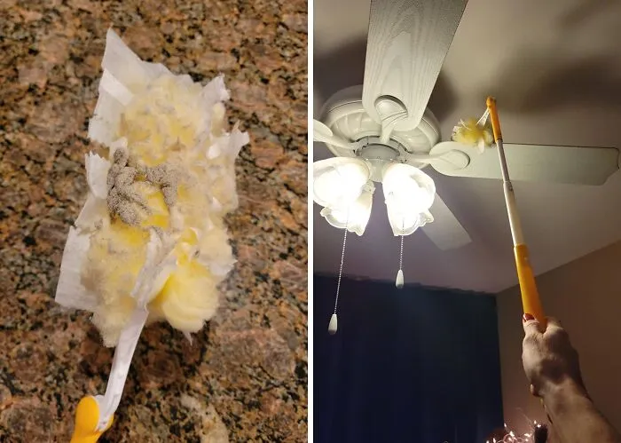 <a style="display:inline;" href="https://www.amazon.com/Swiffer-Dusters-Extender-Handle-Starter/dp/B07DBCDCTX?ie=UTF8&th=1&linkCode=ll1&tag=bpfish-20&linkId=b9b78809c688f1b73a86db5b77d4efbe&language=en_US&ref_=as_li_ss_tl " target="_blank"> "I do impulse buy things I actually semi-need in a fit of impatience and frustration, but it's like... <span Style="Font:inherit;color:#d74b1f;">dusters</Span> because I cannot stand the dust in my house." - <span Style="Font:inherit;color:#808080"> aliquotoculos</Span>