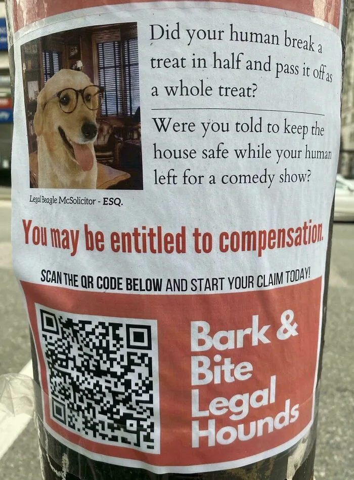 Saw This On A Pole Downtown