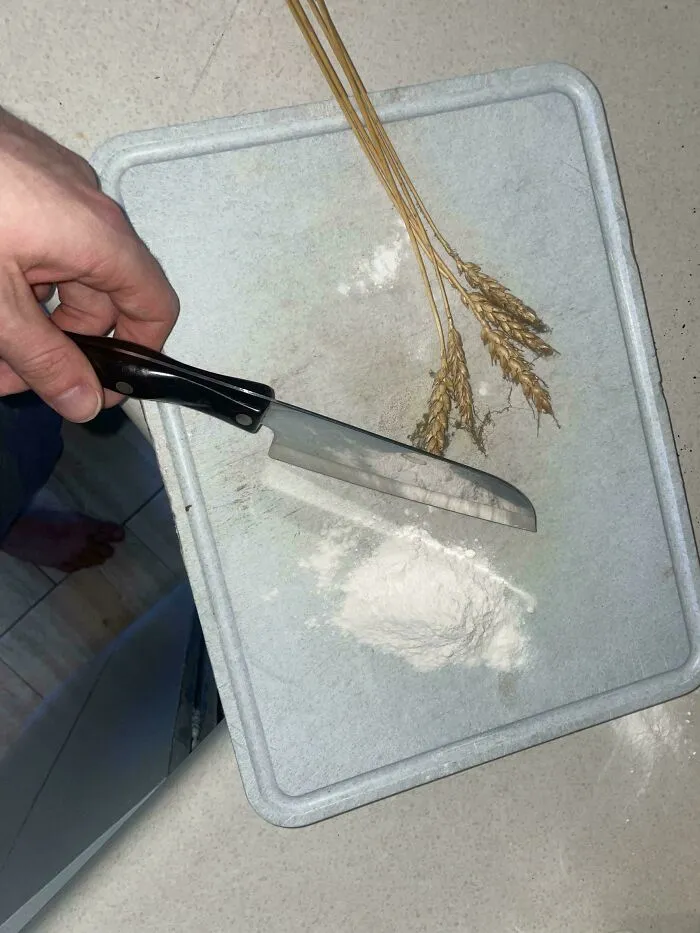 A hand in the food service industry holding a knife over a tray with flour and wheat stalks.
