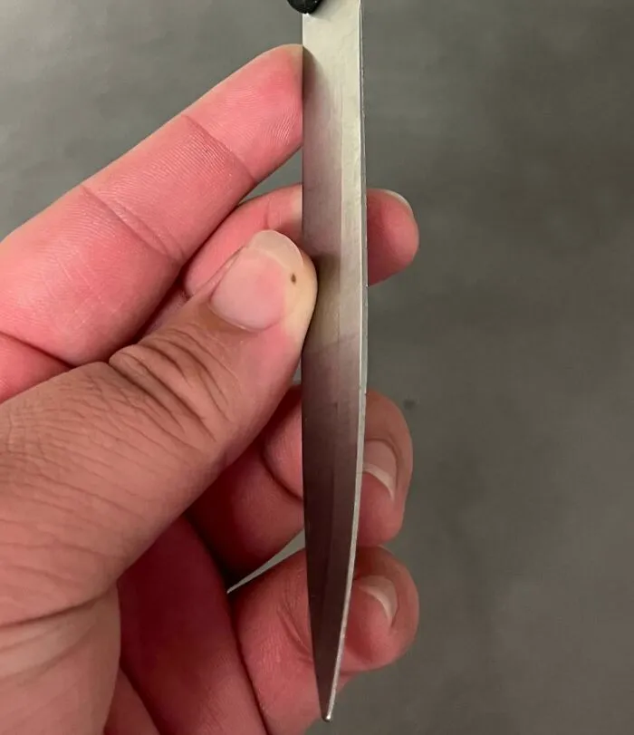 Close-up of a person holding a sharp knife, a common tool in the food service industry.
