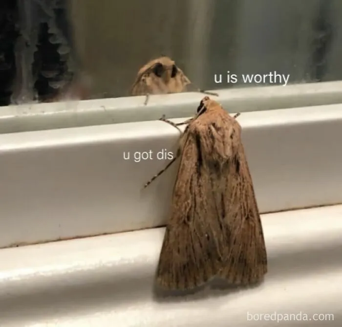 50 Funny Memes That Have Women Feeling Called Out