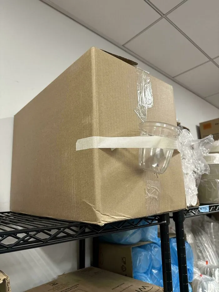La forma en que el chico nuevo etiquetó esta caja