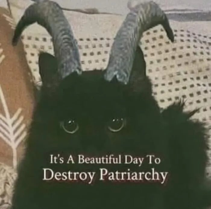 50 Funny Memes That Have Women Feeling Called Out