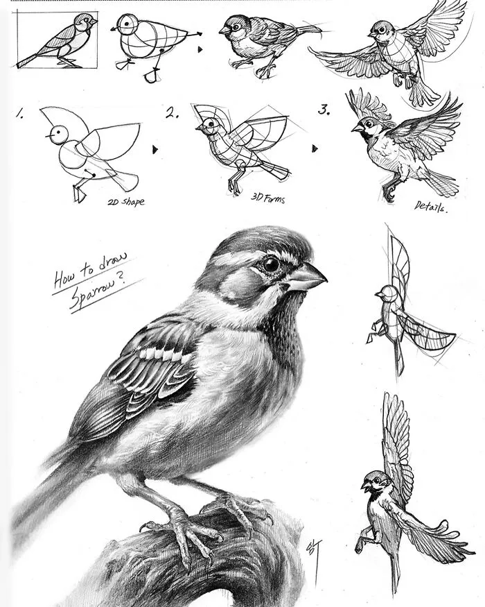 This Artist Combines Hyper-Realism With Doodles, And Here Are His 45 Best Works