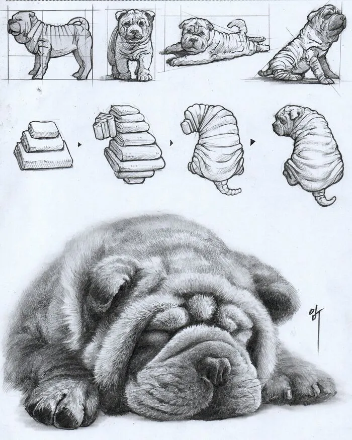 This Artist Combines Hyper-Realism With Doodles, And Here Are His 45 Best Works
