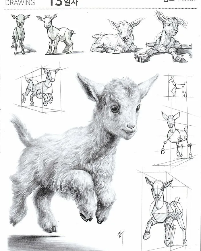 This Artist Combines Hyper-Realism With Doodles, And Here Are His 45 Best Works