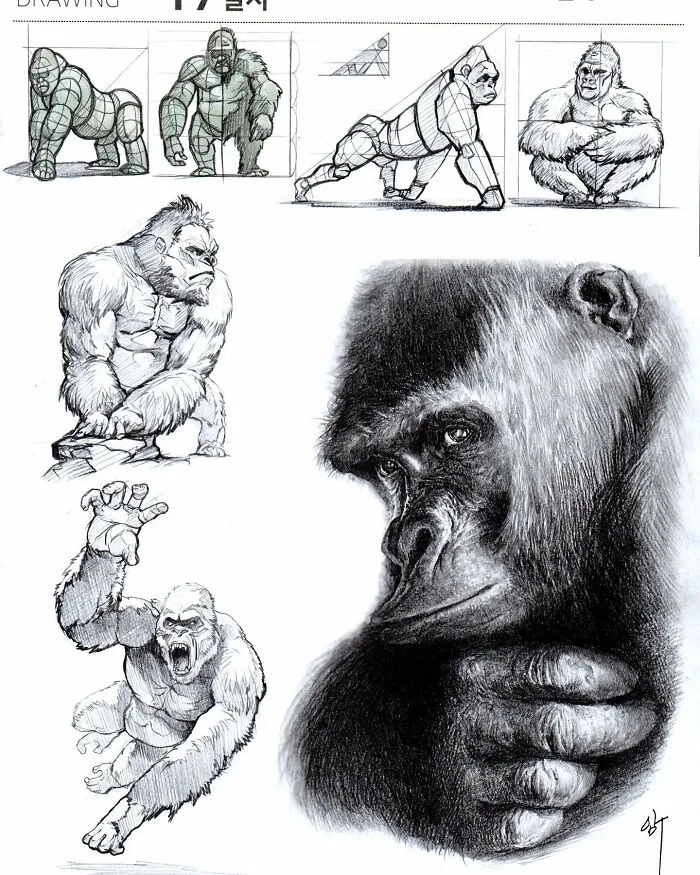 This Artist Combines Hyper-Realism With Doodles, And Here Are His 45 Best Works