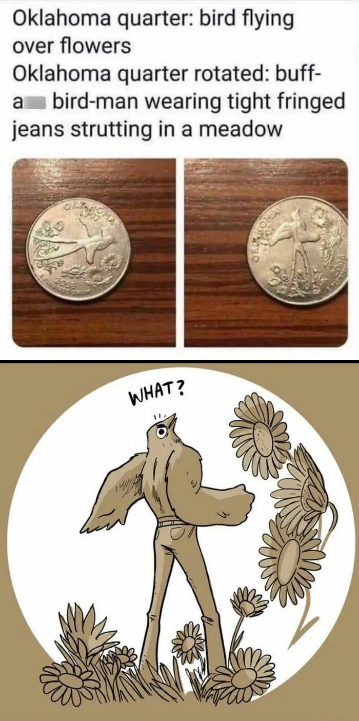 Oklahoma Birb