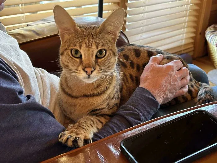 Protecting Grandpa