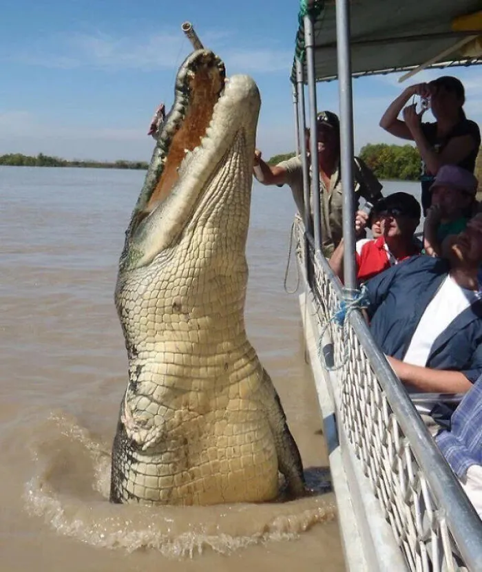 Megalohydrothalassophobia - The Fear Of Large Things In The Water. Does This Qualify?