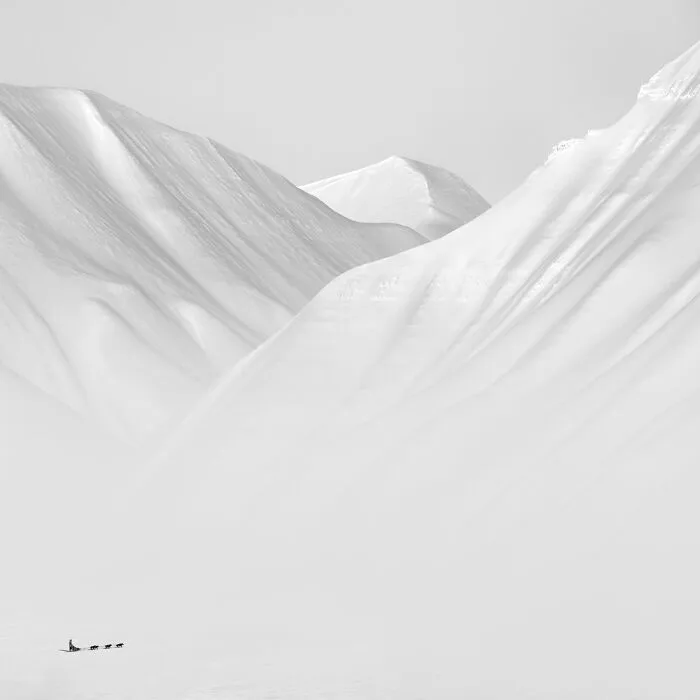 "Arctic Silence 5" By Patrick Ems
