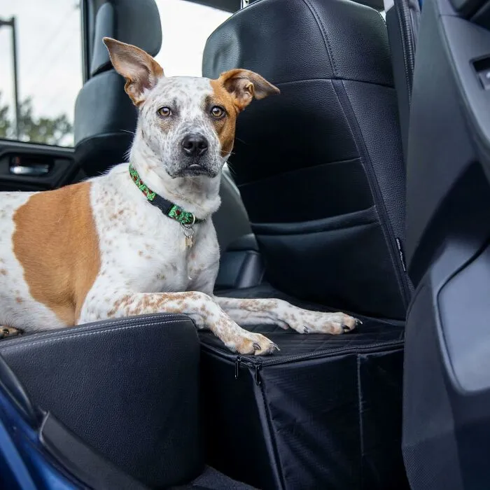 Give Your Furry Friend A First-Class Ride With This <a Style="Display:inline;" Href="Https://Www.amazon.com/Dp/B08sfg28c6?ascsubtag=7634766%2c27%2c36%2cd%2c0%2c0%2c0%2c1396%3a1%3b900%3a2%3b974%3a2%3b1125%3a3%3b1338%3a1%2c44162973%2c0%2c0%2cgoogle&btn_ref=srctok-E64833db6f3b6924&linkcode=ll1&tag=bptoucan-20&linkid=38e73793e834bee3f50dc57bfc5ec5ce&language=en_us&ref_=as_li_ss_tl" Target="_blank"><span Style="Font: Inherit; Color: #d74b1f;"> Backseat Extender For Dogs</Span> That Turns Your Backseat Into A Spacious Pup Paradise