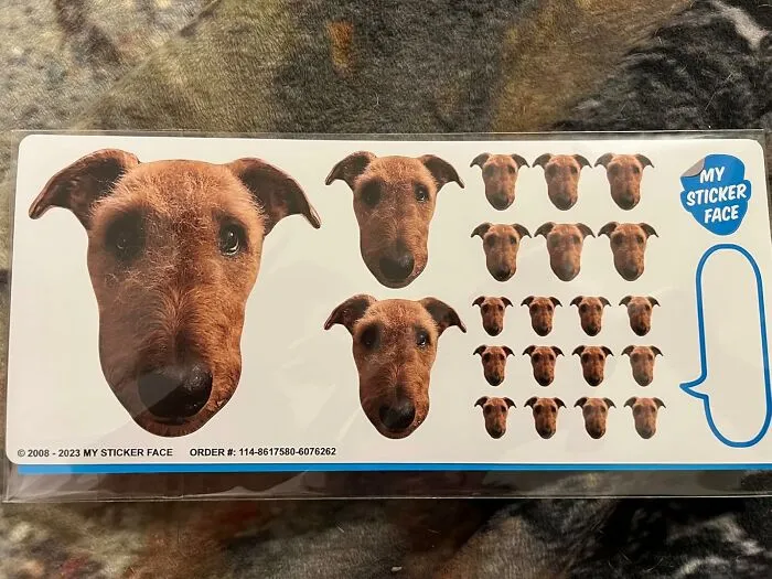 Dog face stickers arranged in various sizes on a sheet, adding unexpected goofiness to the day.